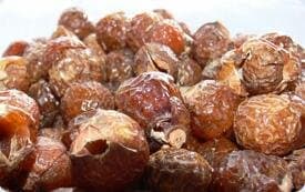 Indische Waschnüsse im 1kg Beutel BIOVA - Bio