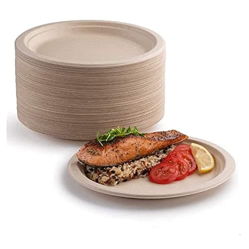 50 x pappteller, 100 % biologisch abbaubar und kompostierbar, umweltfreundlicher, strapazierfähiger, recycelbarer Essteller, perfekt für Picknicks, Grillabende (25,4 cm) Bio Öko